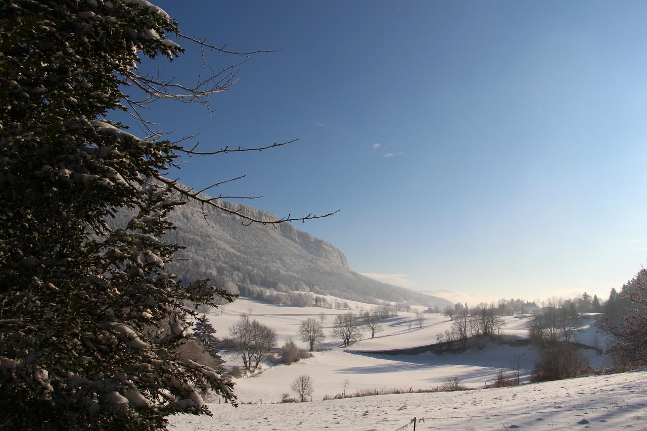 Cafe Brochier Hotel Saint-Julien-en-Vercors Экстерьер фото